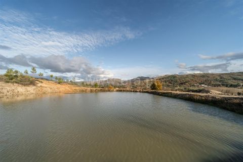 Farm i Guarda, Guarda, Guarda - € 780.000 | Ref: 111250253 - foto 13