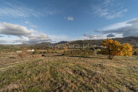 Farm i Guarda, Guarda, Guarda - € 780.000 | Ref: 111250253 - foto 14