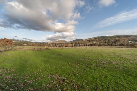 Farm i Guarda, Guarda, Guarda - € 780.000 | Ref: 111250253 - foto 15