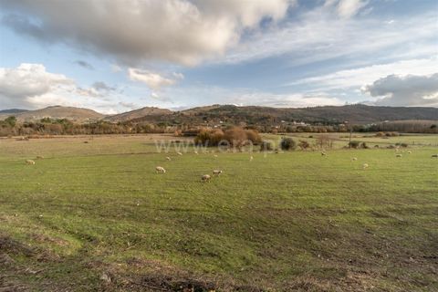 Farm i Guarda, Guarda, Guarda - € 780.000 | Ref: 111250253 - foto 17
