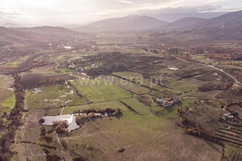 Farm i Guarda, Guarda, Guarda - € 780.000 | Ref: 111250253 - foto 21
