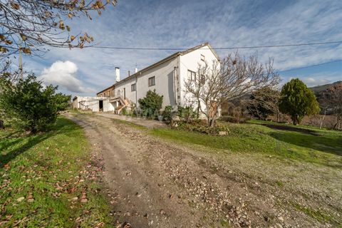 Farm i Guarda, Guarda, Guarda - € 780.000 | Ref: 111250253 - foto 6