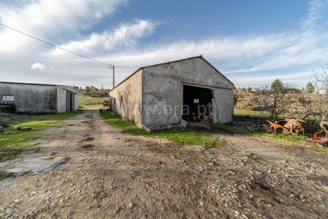 Farm i Guarda, Guarda, Guarda - € 780.000 | Ref: 111250253 - foto 7