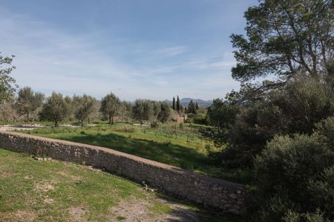 Villa a Petra, Mallorca, Petra - € 2.900.000 | Ref: SPCRM4344 - foto 37