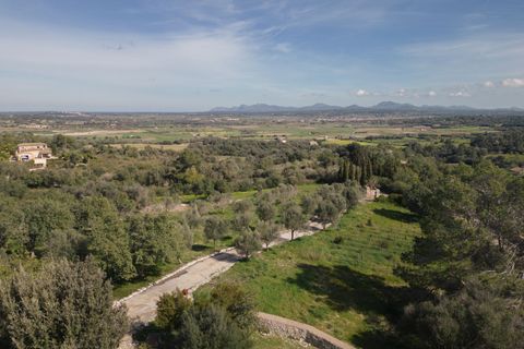 Villa a Petra, Mallorca, Petra - € 2.900.000 | Ref: SPCRM4344 - foto 41