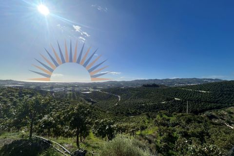 L'establiment comercial a Trapiche, Malaga, Trapiche - € 650.000 | Ref: MS430 - foto 2