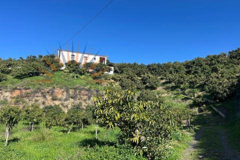 L'establiment comercial a Trapiche, Malaga, Trapiche - € 650.000 | Ref: MS430 - foto 3