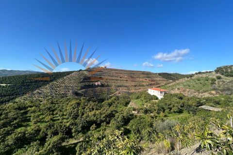 L'establiment comercial a Trapiche, Malaga, Trapiche - € 650.000 | Ref: MS430 - foto 16