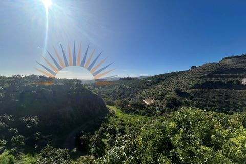 L'establiment comercial a Trapiche, Malaga, Trapiche - € 650.000 | Ref: MS430 - foto 18