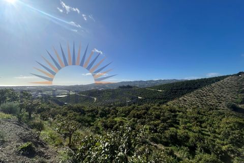 L'establiment comercial a Trapiche, Malaga, Trapiche - € 650.000 | Ref: MS430 - foto 21