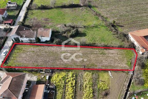 Helårsgrund i Chaves, Vila Real, Chaves - € 45.000 | Ref: 322/T/02430 - foto 3
