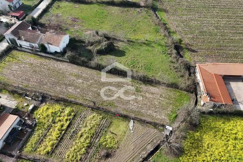 Helårsgrund i Chaves, Vila Real, Chaves - € 45.000 | Ref: 322/T/02430 - foto 8