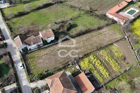Helårsgrund i Chaves, Vila Real, Chaves - € 45.000 | Ref: 322/T/02430 - foto 9