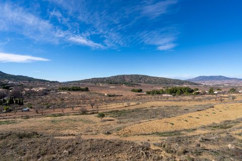 Cave house i Encebras, Alicante, Encebras - € 150.000 | Ref: CF3296 - foto 33