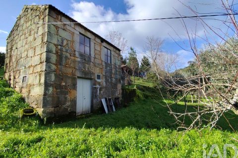 Farm i Tabua, Coimbra, Tabua - € 450.000 | Ref: 817919 - foto 3