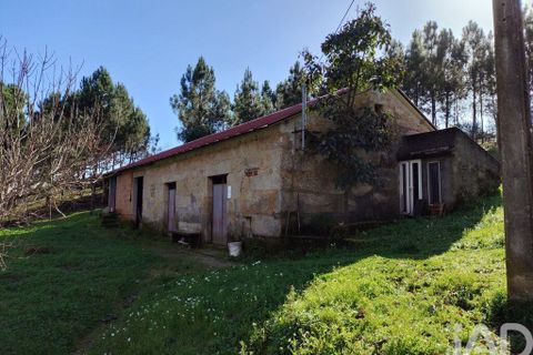 Farm i Tabua, Coimbra, Tabua - € 450.000 | Ref: 817919 - foto 4