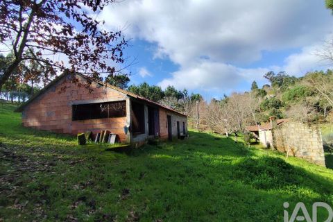 Farm i Tabua, Coimbra, Tabua - € 450.000 | Ref: 817919 - foto 5