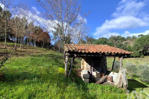 Farm i Tabua, Coimbra, Tabua - € 450.000 | Ref: 817919 - foto 6