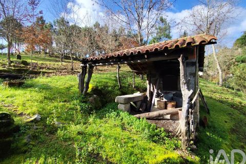 Farm i Tabua, Coimbra, Tabua - € 450.000 | Ref: 817919 - foto 7