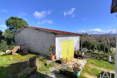 Farm i Tabua, Coimbra, Tabua - € 450.000 | Ref: 817919 - foto 8