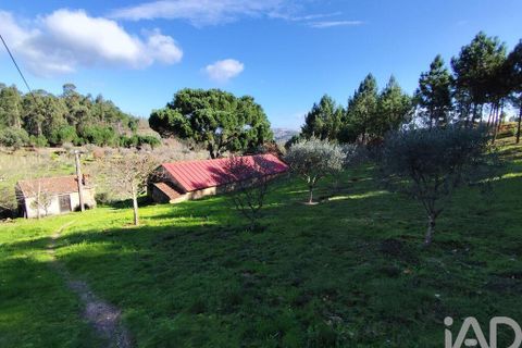 Farm i Tabua, Coimbra, Tabua - € 450.000 | Ref: 817919 - foto 10
