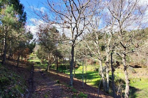 Farm i Tabua, Coimbra, Tabua - € 450.000 | Ref: 817919 - foto 13