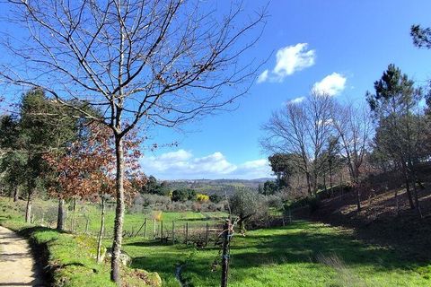 Farm i Tabua, Coimbra, Tabua - € 450.000 | Ref: 817919 - foto 14