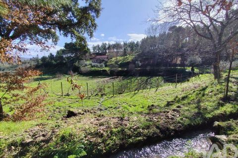 Farm i Tabua, Coimbra, Tabua - € 450.000 | Ref: 817919 - foto 15