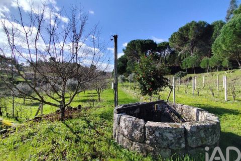 Farm i Tabua, Coimbra, Tabua - € 450.000 | Ref: 817919 - foto 16