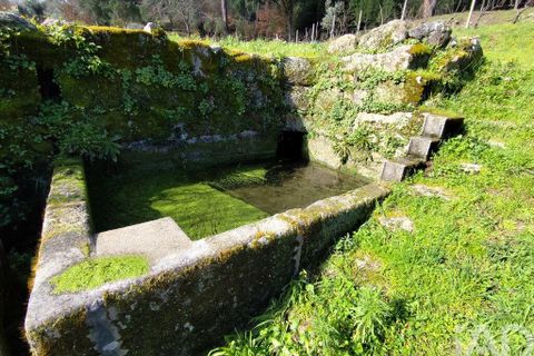 Farm i Tabua, Coimbra, Tabua - € 450.000 | Ref: 817919 - foto 17