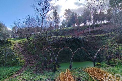 Farm i Tabua, Coimbra, Tabua - € 450.000 | Ref: 817919 - foto 18