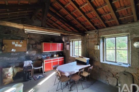 Farm i Tabua, Coimbra, Tabua - € 450.000 | Ref: 817919 - foto 19