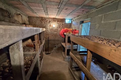 Farm i Tabua, Coimbra, Tabua - € 450.000 | Ref: 817919 - foto 21