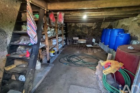 Farm i Tabua, Coimbra, Tabua - € 450.000 | Ref: 817919 - foto 23