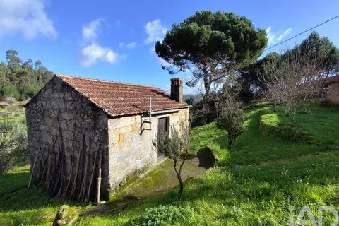 Farm i Tabua, Coimbra, Tabua - € 450.000 | Ref: 817919 - foto 29