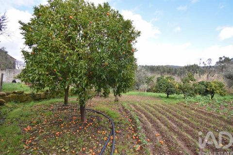 Rækkehus i Penela, Coimbra, Penela - € 60.000 | Ref: 822923 - foto 23