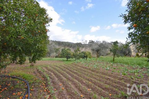 Rækkehus i Penela, Coimbra, Penela - € 60.000 | Ref: 822923 - foto 24
