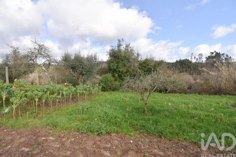 Rækkehus i Penela, Coimbra, Penela - € 60.000 | Ref: 822923 - foto 25