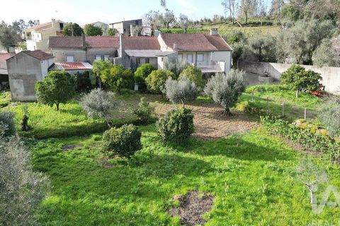 Rækkehus i Penela, Coimbra, Penela - € 60.000 | Ref: 822923 - foto 30