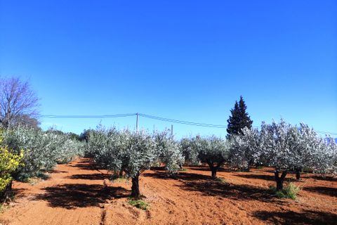 Landejendom i Ontinyent, Valencia, Ontinyent - € 280.000 | Ref: 3008 - foto 30