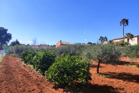 Landejendom i Ontinyent, Valencia, Ontinyent - € 280.000 | Ref: 3008 - foto 31