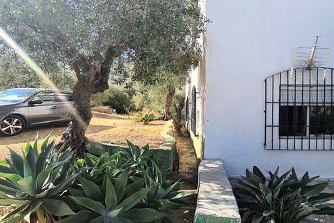 Landejendom i Tolox, Malaga, Tolox - € 499.000 | Ref: MLS18762Y - foto 7