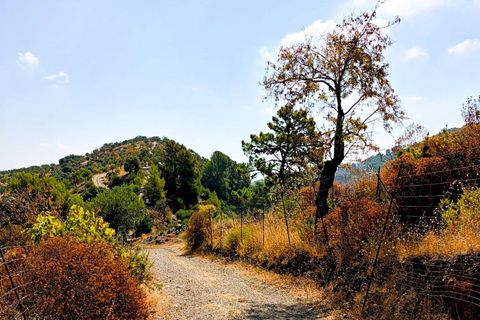 Terra a Tolox, Malaga, Tolox - € 250.000 | Ref: MLS27007M - foto 4