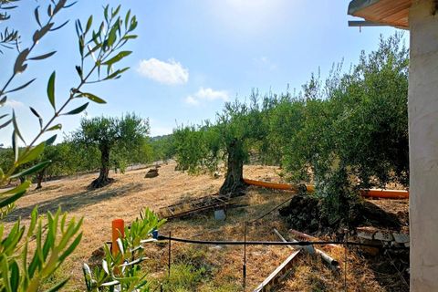 Terra a Tolox, Malaga, Tolox - € 250.000 | Ref: MLS27007M - foto 23