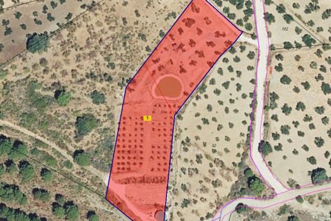 Terra a Tolox, Malaga, Tolox - € 250.000 | Ref: MLS27007M - foto 25