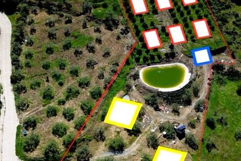 Terra a Tolox, Malaga, Tolox - € 250.000 | Ref: MLS27007M - foto 30