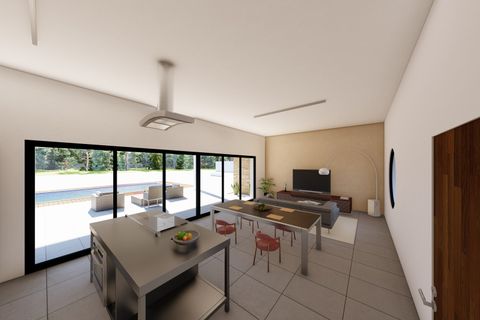 Villa i Pinoso, Alicante, Pinoso - € 365.000 | Ref: CC0653N - foto 3
