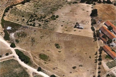 Helårsgrund i Setubal, Setubal, Setubal - € 108.000 | Ref: C0222-05405 - foto 3