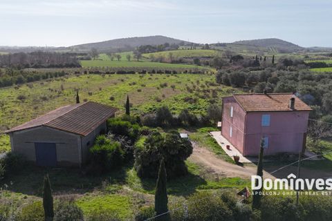 Landejendom i Capalbio, Grosseto, Capalbio - € 1.380.000 | Ref: v-244 - foto 2
