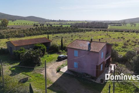 Landejendom i Capalbio, Grosseto, Capalbio - € 1.380.000 | Ref: v-244 - foto 3